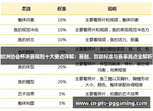 欧洲协会杯决赛规则十大要点详解:赛制、晋级标准与赛事亮点全解析 欧洲协会杯决赛规则十大要点详解:赛制、晋级标准与赛事亮点全解析